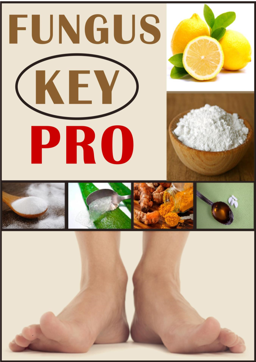 Fungus Key Pro.Pdf