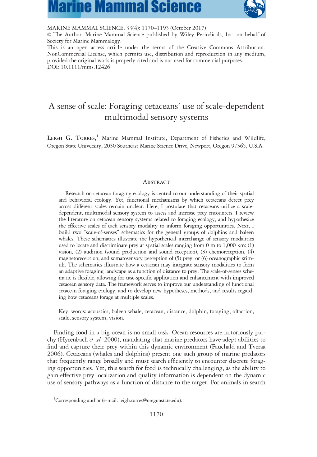 Foraging Cetaceans' Use of Scale‐Dependent Multimodal Sensory