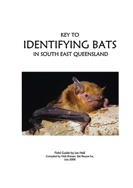 Identifying Bats Identifying Bats
