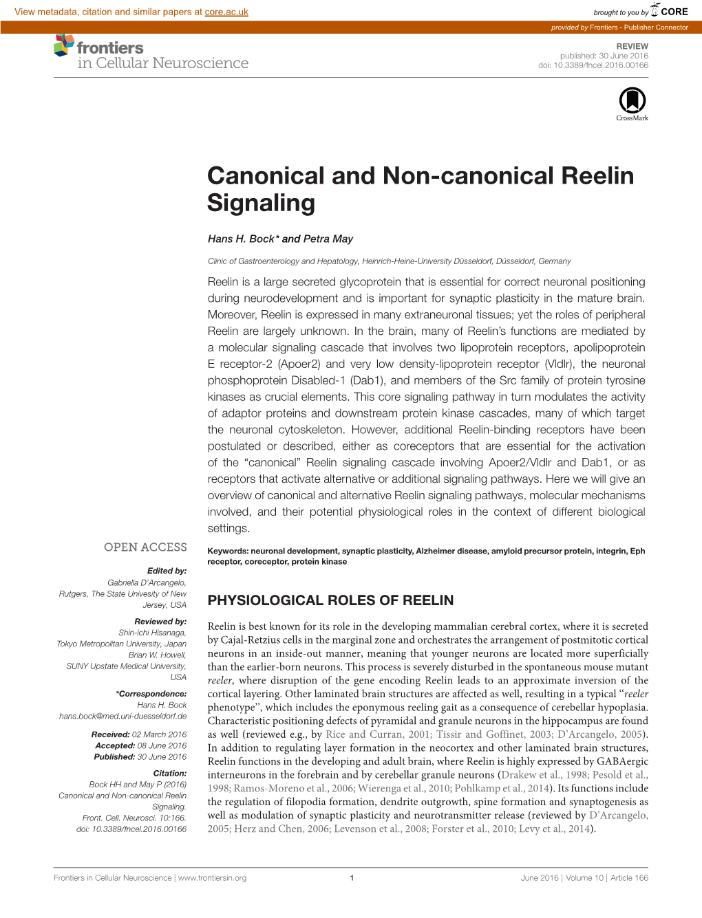 Canonical and Non-Canonical Reelin Signaling