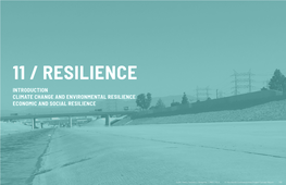 Resilience Introduction Climate Change and Environmental Resilience Economic and Social Resilience