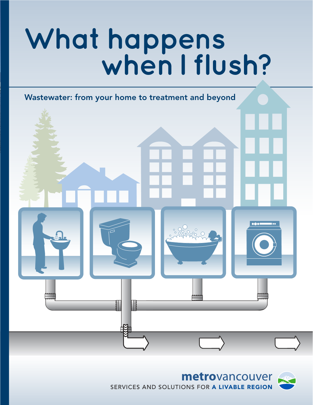 What Happens When I Flush?