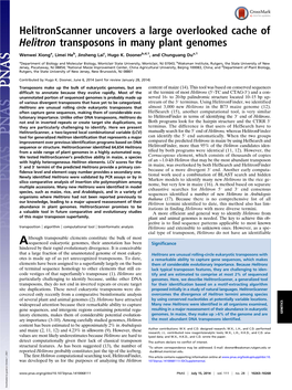 Helitronscanner Uncovers a Large Overlooked Cache of Helitron Transposons in Many Plant Genomes