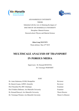 Multiscale Analysis of Transport in Porous Media