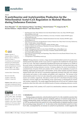 N-Acetyltaurine and Acetylcarnitine Production for the Mitochondrial Acetyl-Coa Regulation in Skeletal Muscles During Endurance Exercises