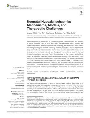 Neonatal Hypoxia Ischaemia: Mechanisms, Models, and Therapeutic Challenges