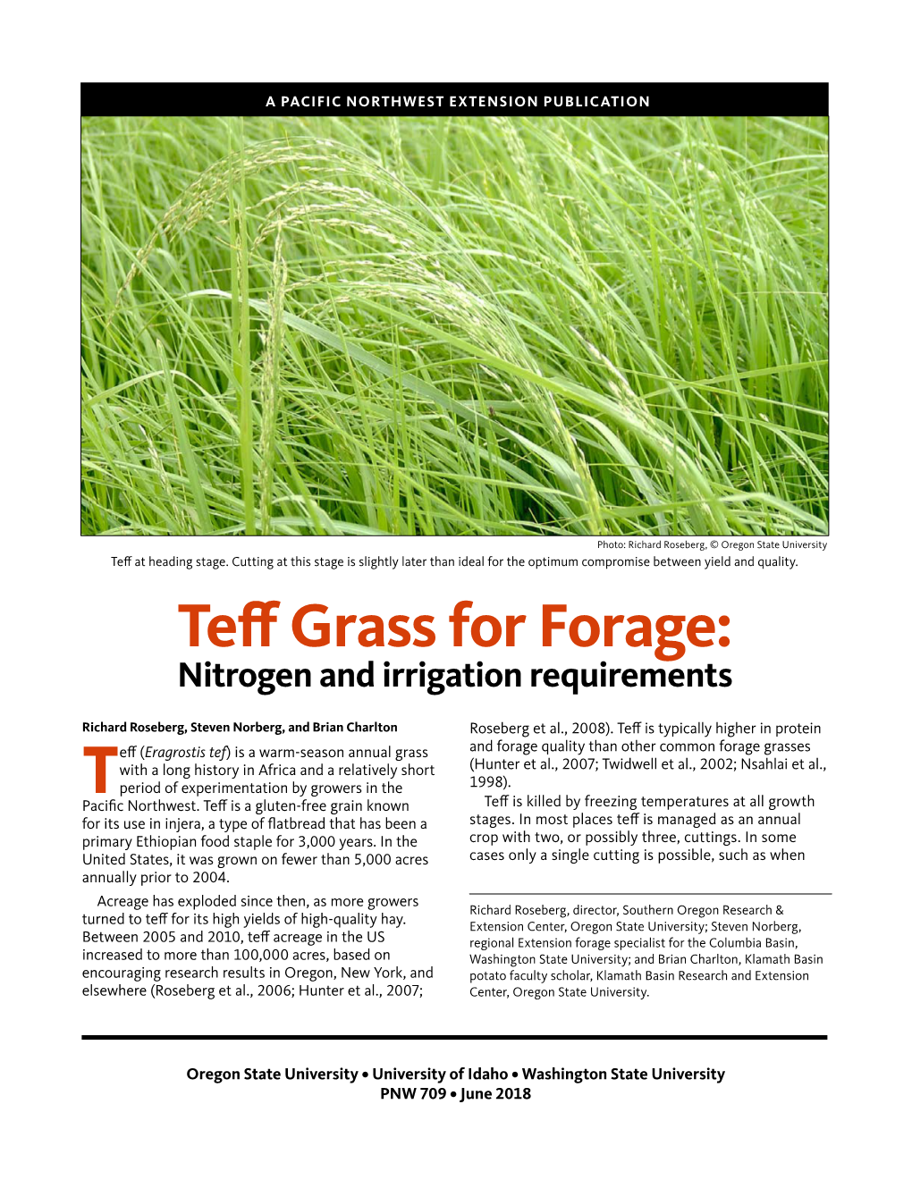 Teff Grass for Forage: Nitrogen and Irrigation Requirements