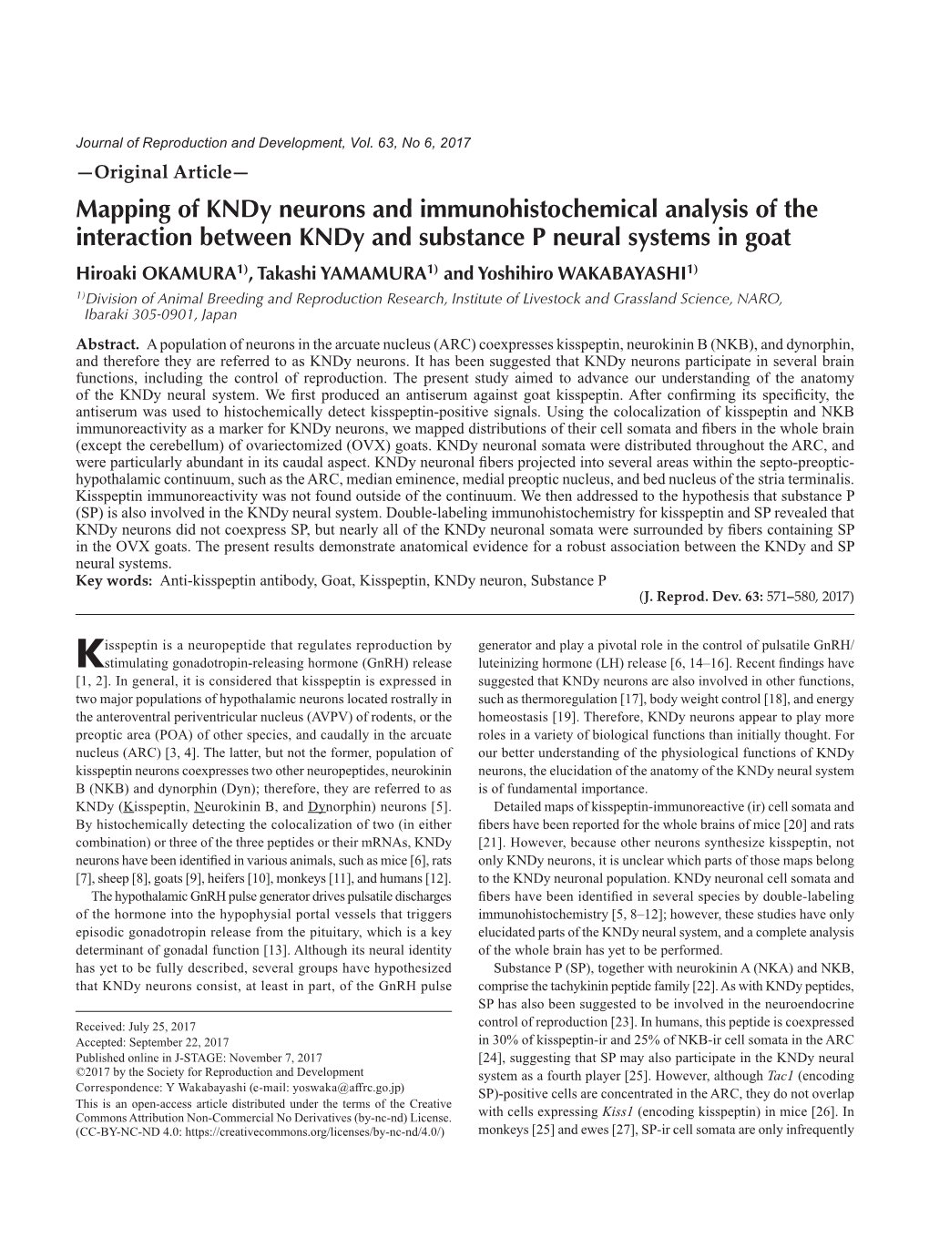 Mapping of Kndy Neurons and Immunohistochemical Analysis Of