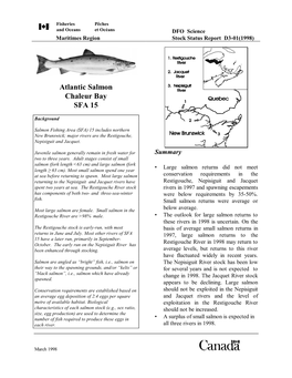 Atlantic Salmon Chaleur Bay SFA 15