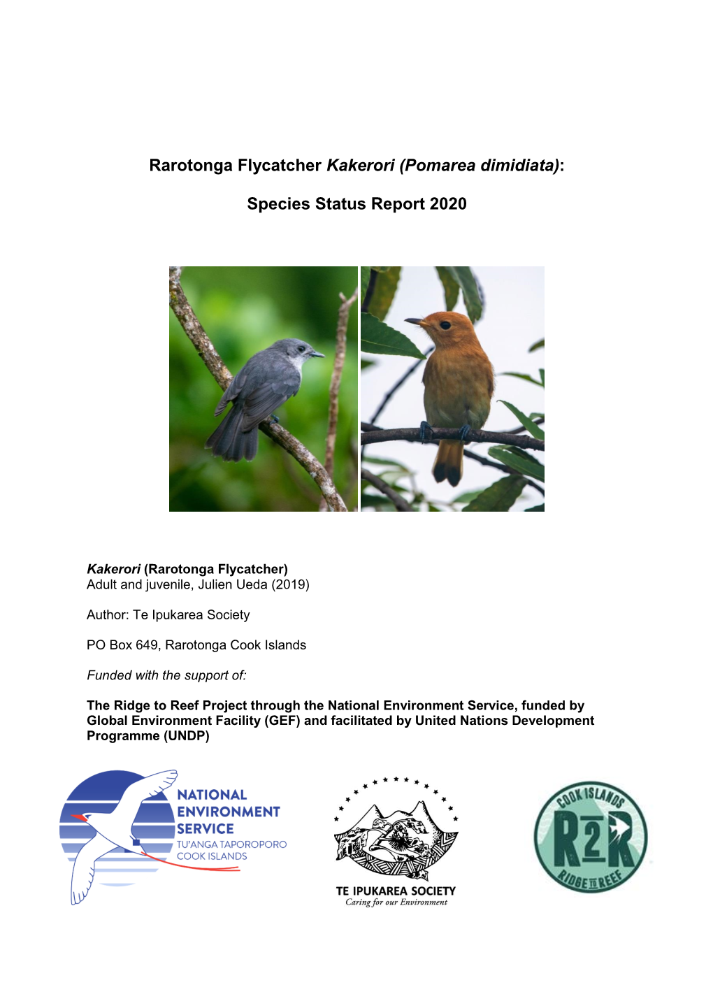 Rarotonga Flycatcher Kakerori (Pomarea Dimidiata): Species