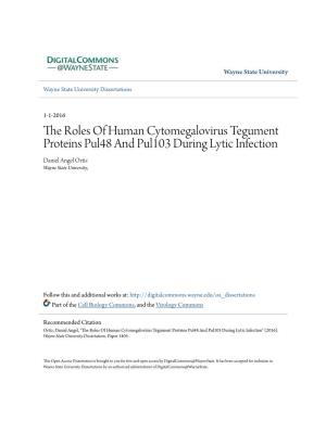 The Roles of Human Cytomegalovirus Tegument Proteins Pul48 and Pul103 During Lytic Infection Daniel Angel Ortiz Wayne State University