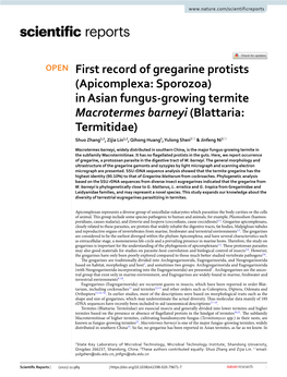 First Record of Gregarine Protists (Apicomplexa: Sporozoa) in Asian