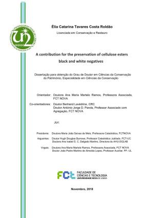 General Introduction Sustainability Issues in the Preservation of Black and White Cellulose Esters Film- Based Negatives Collections