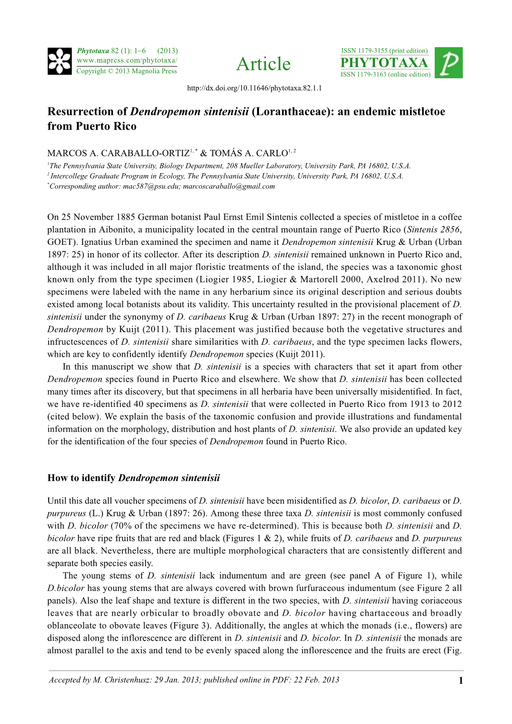 Resurrection of Dendropemon Sintenisii (Loranthaceae): an Endemic Mistletoe from Puerto Rico