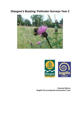 Glasgow's Buzzing: Pollinator Surveys Year 2