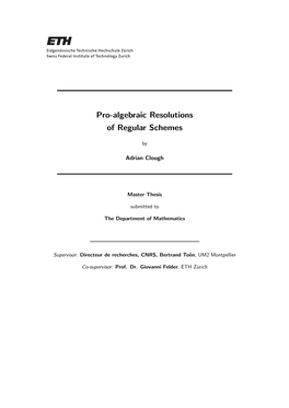 Pro-Algebraic Resolutions of Regular Schemes