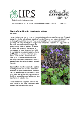 Plant of the Month: Soldanella Villosa Joe Sime