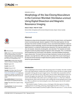 Morphology of the Jaw-Closing Musculature in the Common Wombat (Vombatus Ursinus) Using Digital Dissection and Magnetic Resonance Imaging
