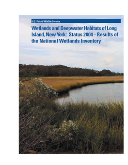 Wetlands and Deepwater Habitats of Long Island, New York: Status 2004 - Results of the National Wetlands Inventory