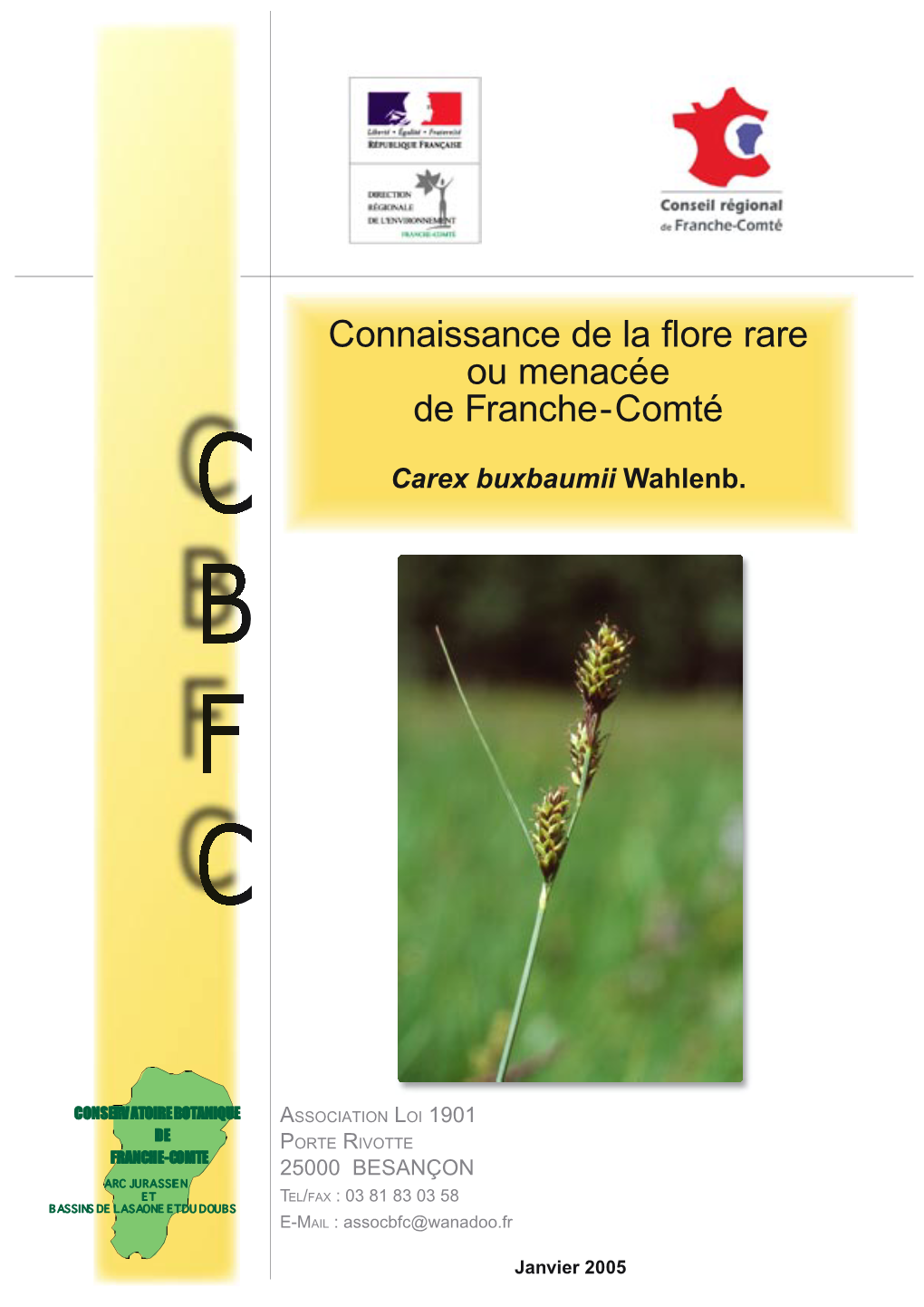 Carex-Buxbaumii.Pdf