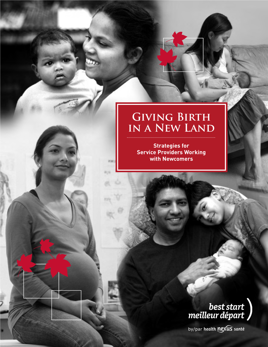 Giving Birth in a New Land: Strategies for Service Providers Working with Newcomers