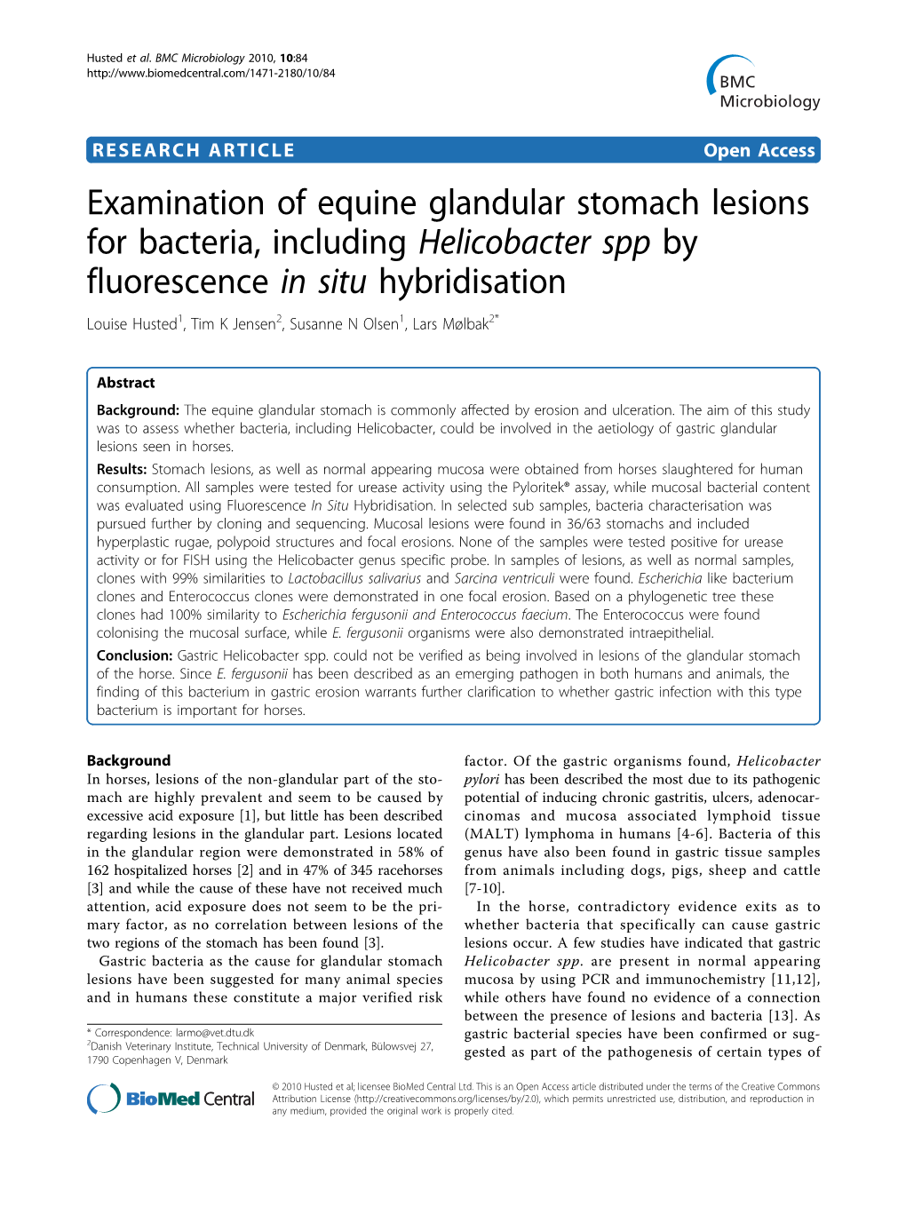 Examination of Equine Glandular Stomach Lesions for Bacteria