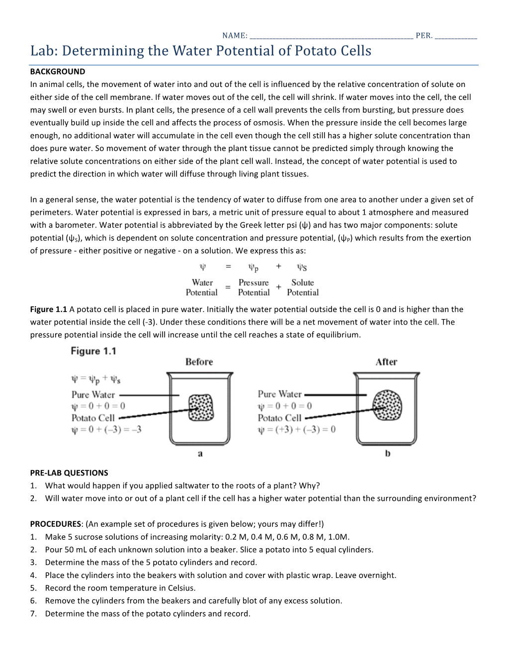 Lab: Determining the Water Potential of Potato Cells