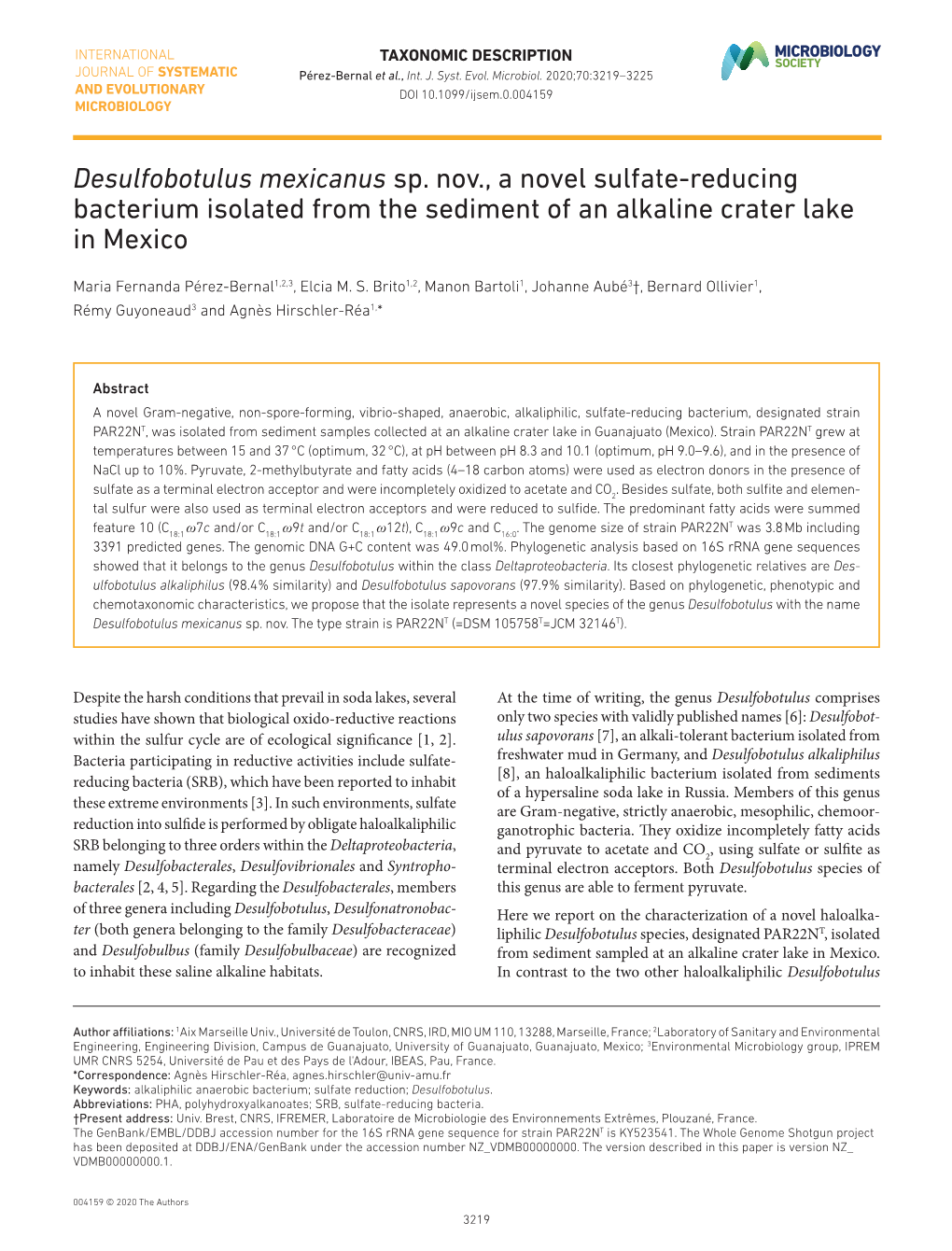 Desulfobotulus Mexicanus Sp. Nov., a Novel Sulfate- Reducing Bacterium