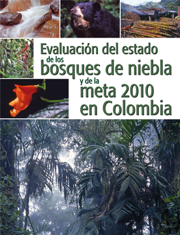 Evaluación Del Estado De Los Bosques De Niebla Y De La Meta 2010 En Colombia