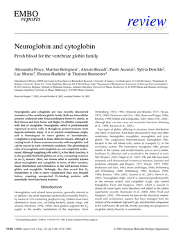 Neuroglobin and Cytoglobin Fresh Blood for the Vertebrate Globin Family