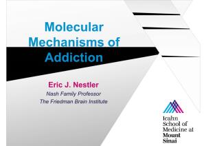Molecular Mechanisms of Addiction