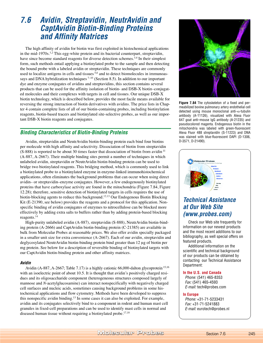 Avidin, Streptavidin, Neutravidin and Captavidin Biotin-Binding Proteins and Affinity Matrices