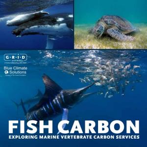 Fish Carbon: Exploring Marine Vertebrate Carbon Services