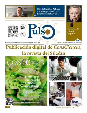 Publicación Digital De Consciencia, La Revista Del Siladin