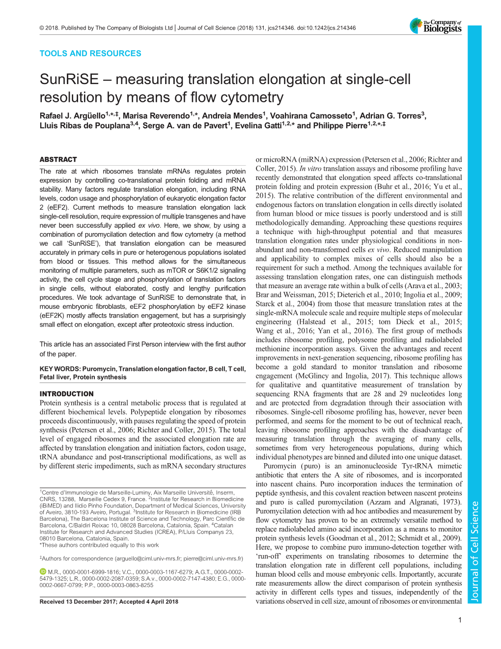 Sunrise – Measuring Translation Elongation at Single-Cell Resolution by Means of Flow Cytometry Rafael J