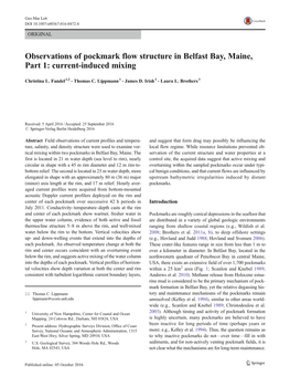 Observations of Pockmark Flow Structure in Belfast Bay, Maine, Part 1: Current-Induced Mixing