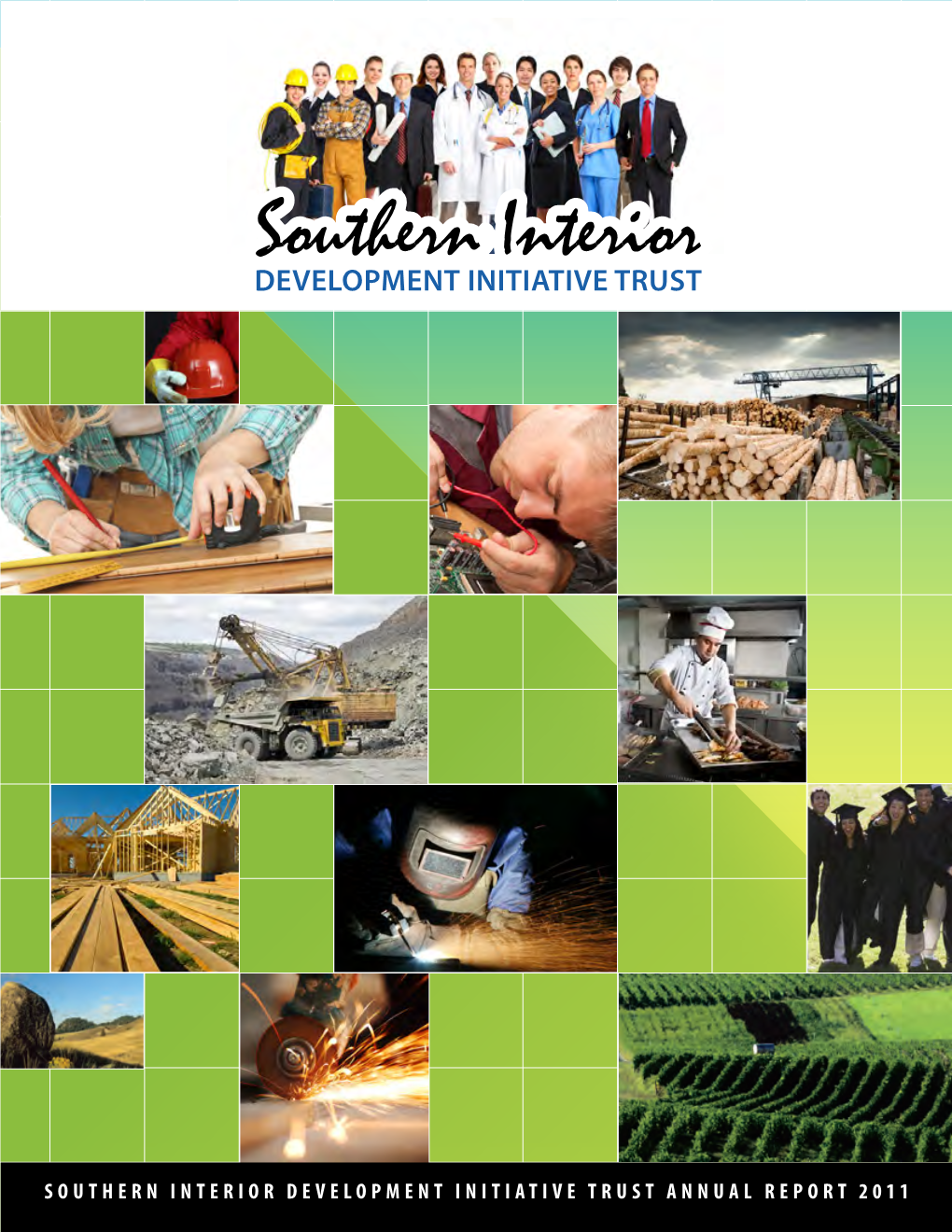 2011 Annual Report