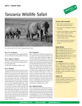 Tanzania Wildlife Safari