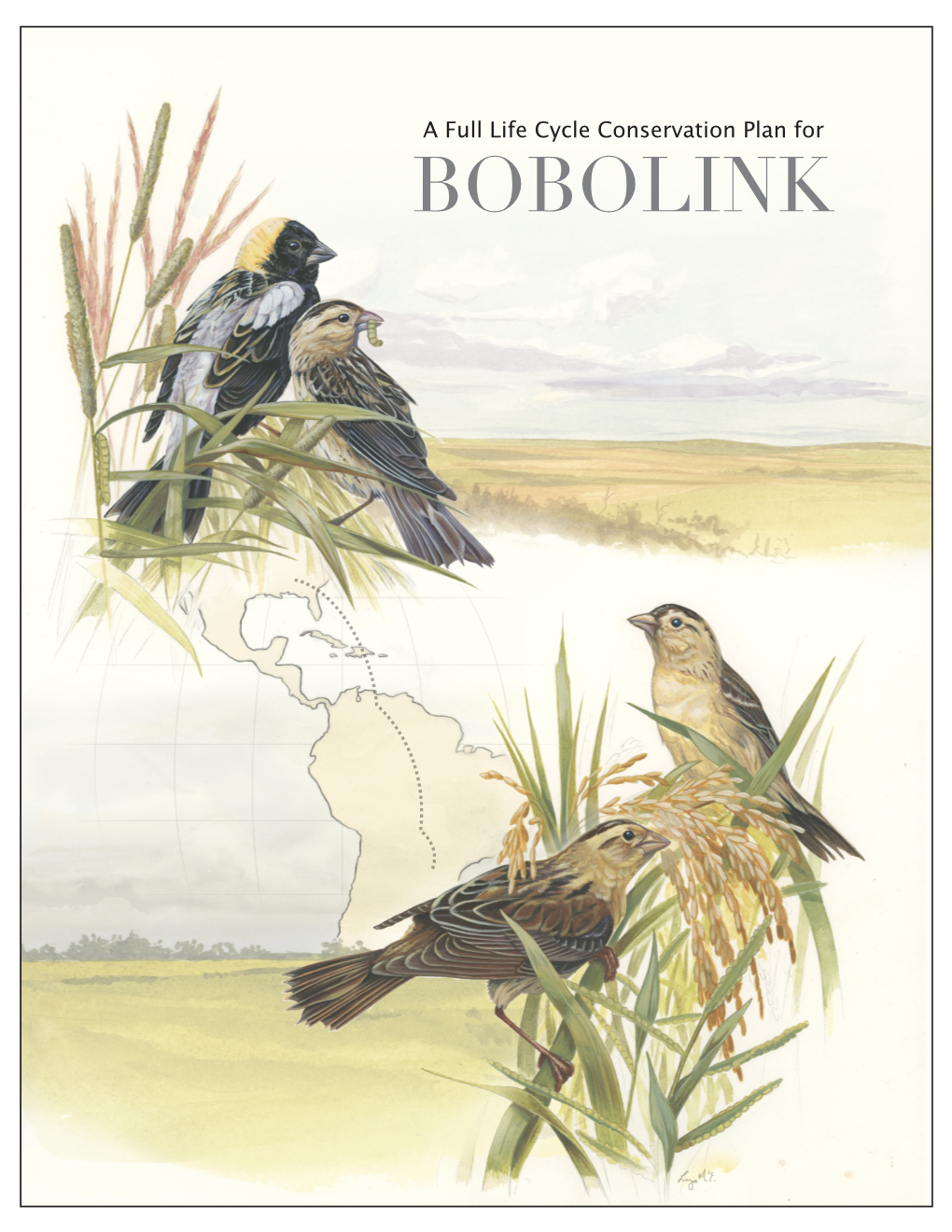 A Full Life Cycle Conservation Plan for Bobolink (Dolichonyx Oryzivorus)