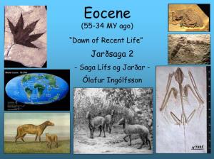 Eocene (55-34 MY Ago)