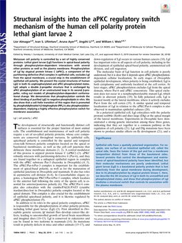 Structural Insights Into the Apkc Regulatory Switch Mechanism of the Human Cell Polarity Protein Lethal Giant Larvae 2