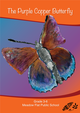 The Purple Copper Butterfly
