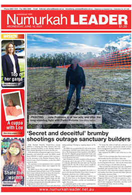 'Secret and Deceitful' Brumby Shootings Outrage Sanctuary Builders