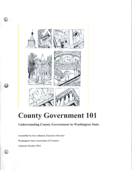 County Government 101