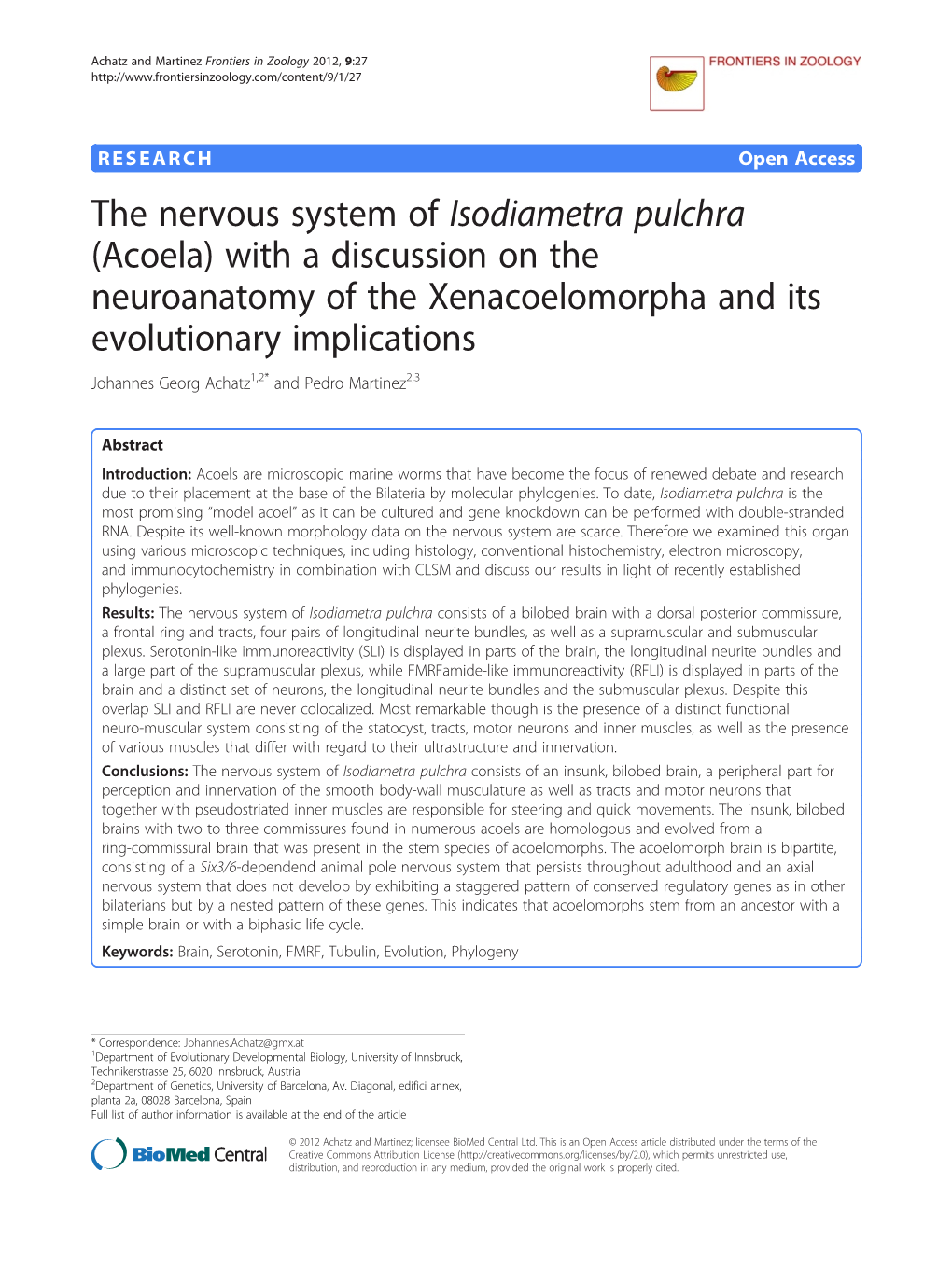 The Nervous System of Isodiametra Pulchra (Acoela) with a Discussion