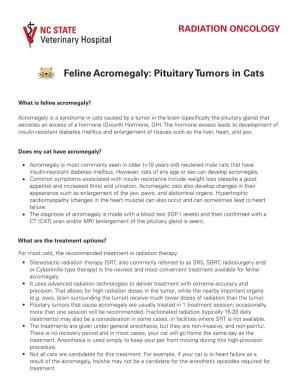 Feline Acromegaly: Pituitary Tumors in Cats