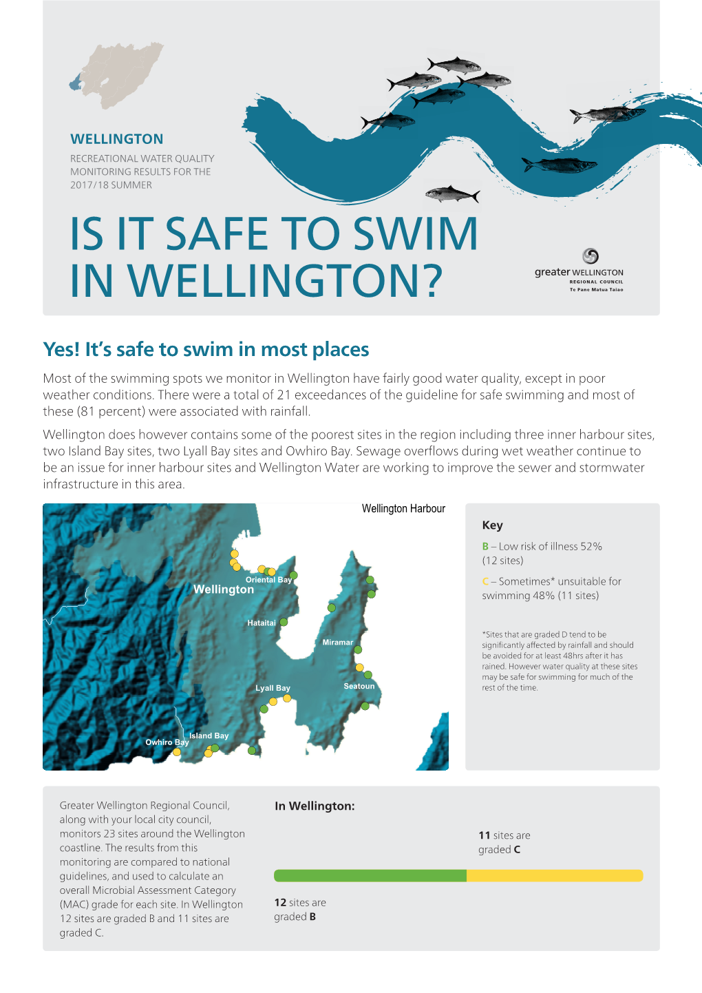 Is It Safe to Swim in Wellington?