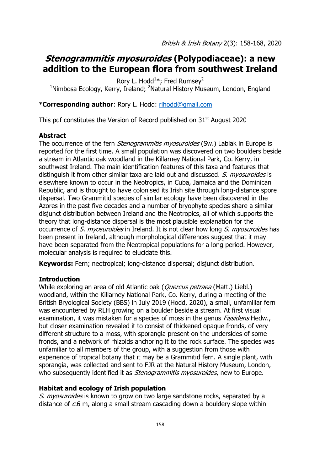 Stenogrammitis Myosuroides (Polypodiaceae): a New Addition to the European Flora from Southwest Ireland Rory L
