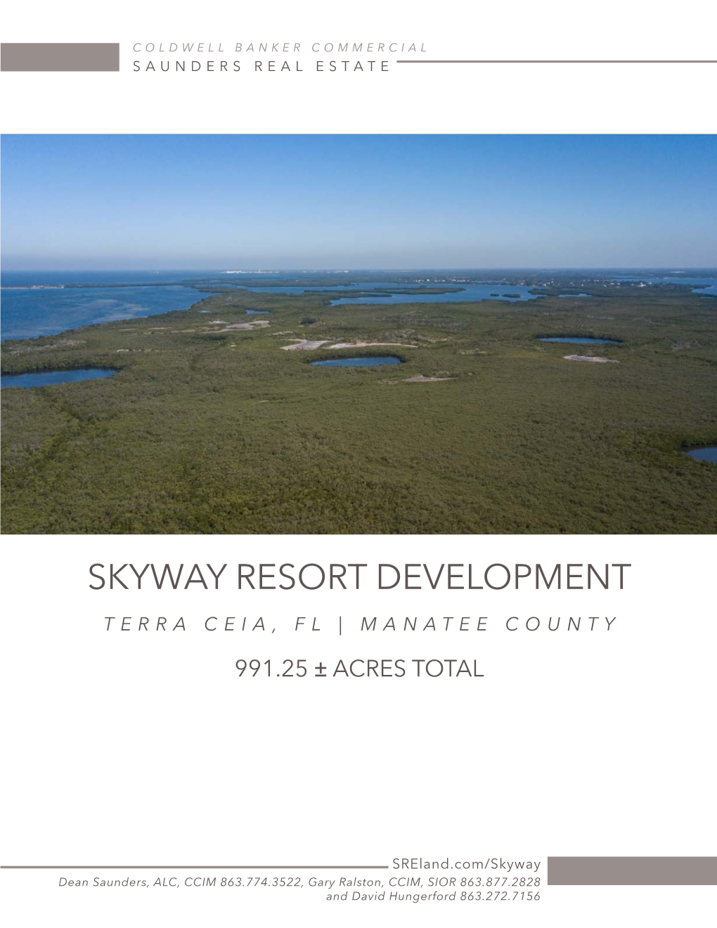 Skyway Resort Development