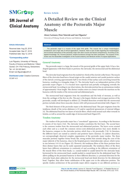 A Detailed Review on the Clinical Anatomy of the Pectoralis Major Muscle
